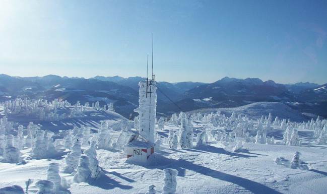 image003.jpg image003.jpg