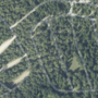 field_day_location.png
