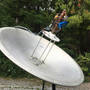dish_strip.jpg