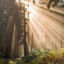 lightscattering.jpg