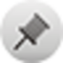 pin.png