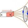 faraday.jpg