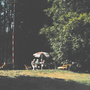 image_44_.png