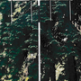 image_55_.png