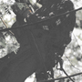 image_56_3.png