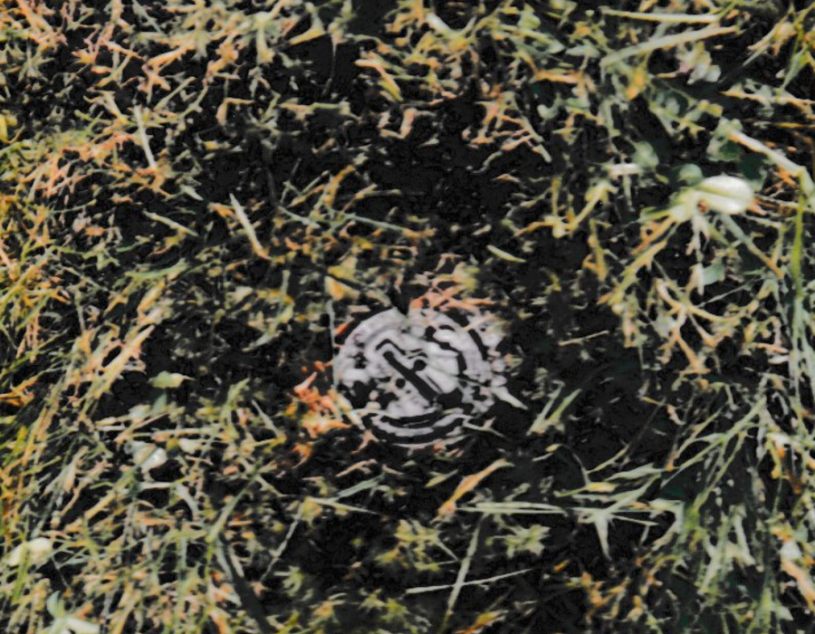 image_60_.png