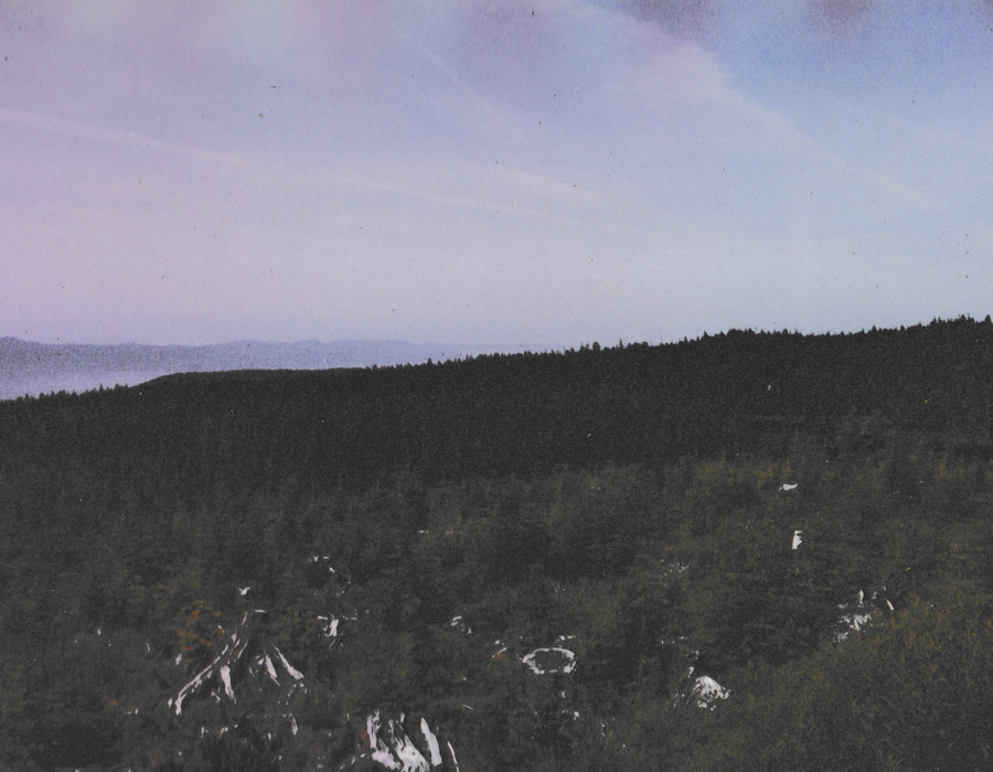 image_65_4.png